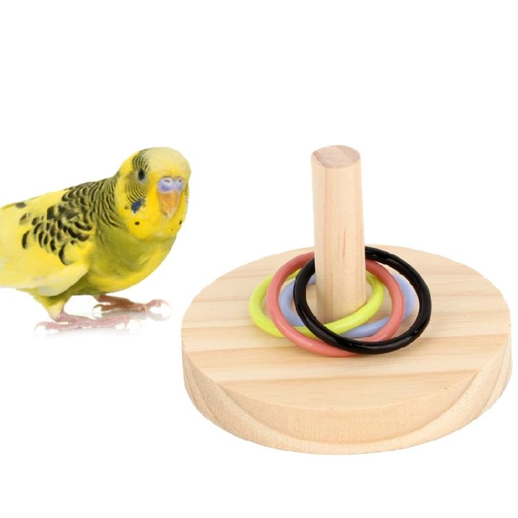 Education Playing Toy for Large and Small Parakeets, Eclectus, Conures