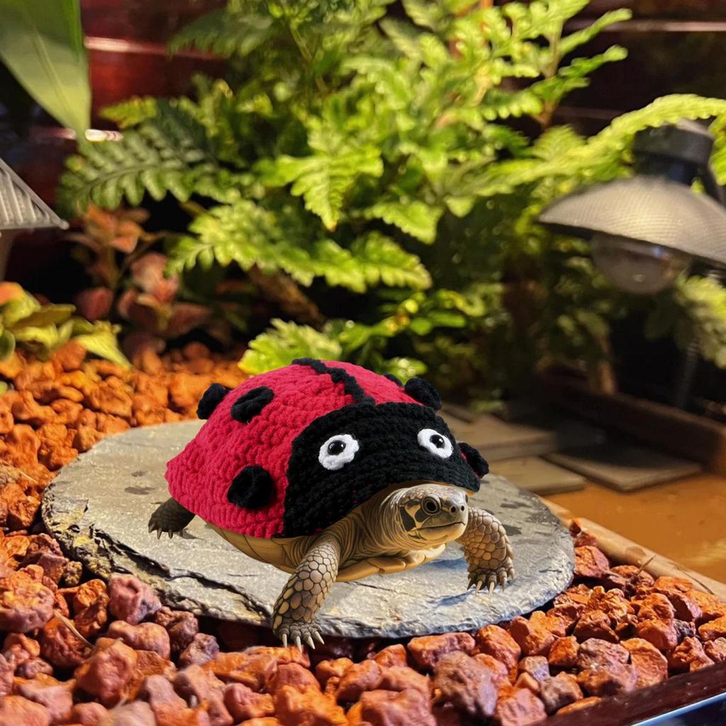 Svetřík pro želvu, Obleček pro mazlíčka s nastavitelným popruhem, Teplý na zimní párty