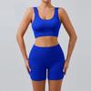 Europäisch-Amerikanisches Nahtloses Schnelltrocknendes Yoga-Westen- & High-Waist-Shorts-Set für Damen