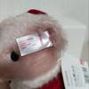 [USED] Steiff Japan Exclusive Teddy Bear Little Santa 2020 Plush Toy
