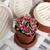 Potted Plant Tray for Indoor Home, Thick  Flowerpot Base,  Water-Resistant Tray,  Root Rot and Overwatering