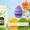 Artmiao Reusable Facial Cleansing Sponges (3-Count)