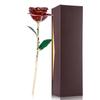 Love Forever Long Stem 24k Gold Foil Trim Red Rose Flower Best Gift for Valentine s Day