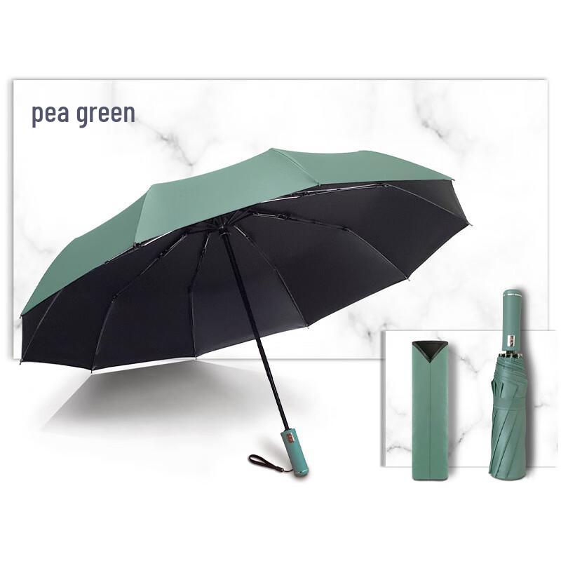Kadenor Premium Automatic Foldable Umbrella for Rain & Sun