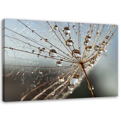 Canvas Print Dandelion Plant