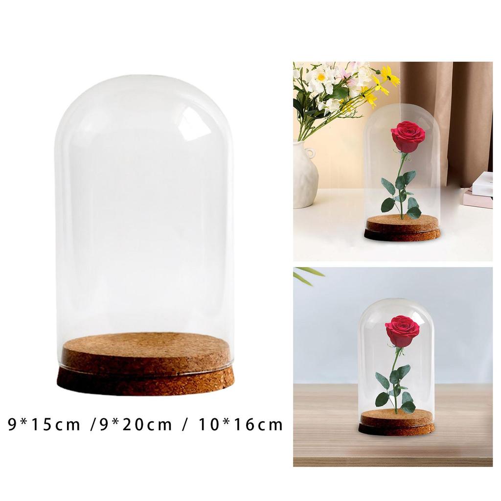 DIY Glass Dome Cloche Holder for Microlandscape and Home Display