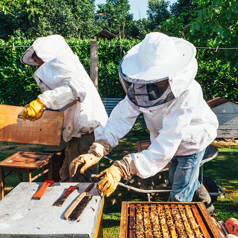 Jaqueta Protetora para Apicultura Fato Macaco de Fazenda Apicultura com Chapéu Fato de Equipamento Véu de Mistura de Algodão Vestido Respirável