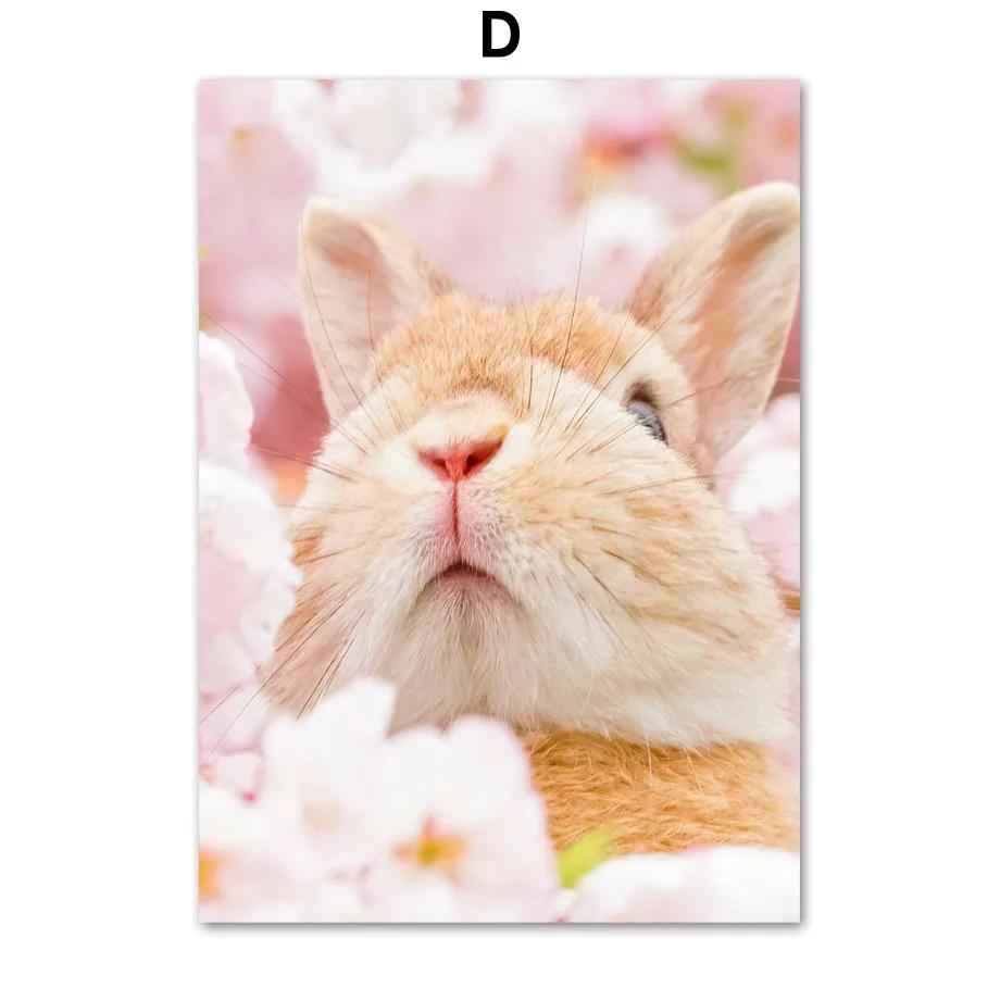 

Розовый вишневый цвет, пион, цветок орхидеи, скандинавские постеры, настенное искусство, холст, живопись и принты, настенные картины для спальни, домашний декор 21x30cm No Framed