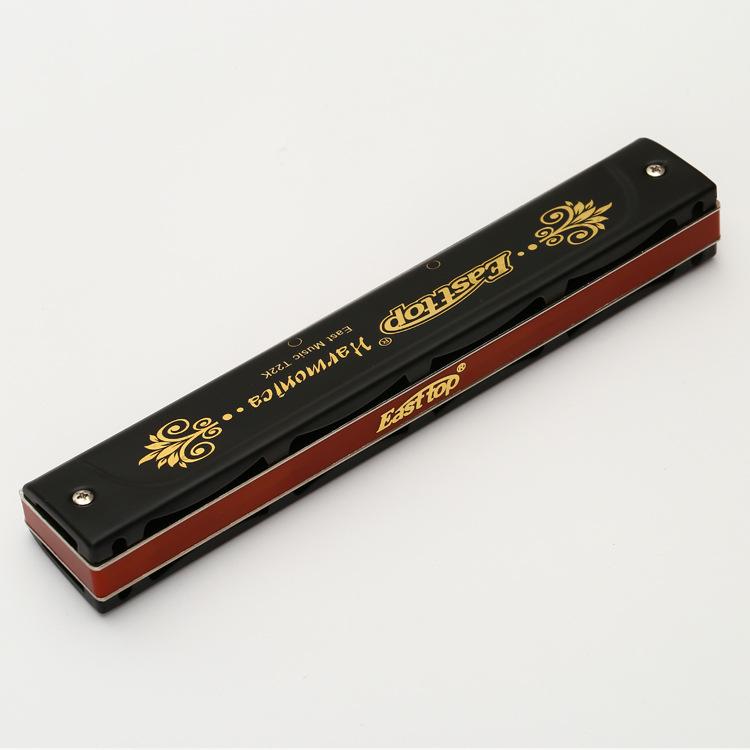 Dongfang's 22-Hole C Key Polyphonic Harmonica for Beginners and Adults