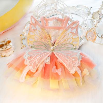 Dog Clothes Thin Cat Princess Skirt Rainbow Butterfly Fluffy Small Dog Teddy Pet In Summer