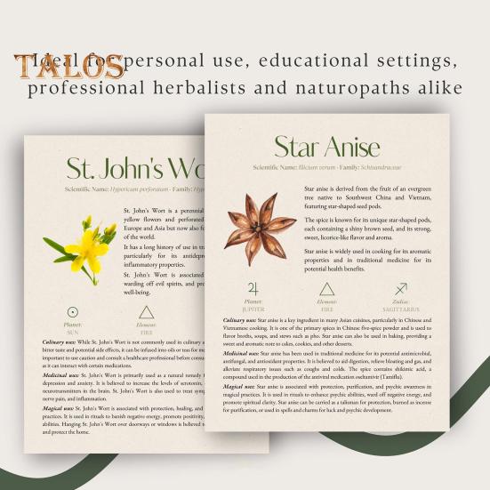 Poradnik ziołowy 82 Rośliny lecznicze Przewodnik po ziołolecznictwie ziołowym Środki ziołowe i przepisy Apteka