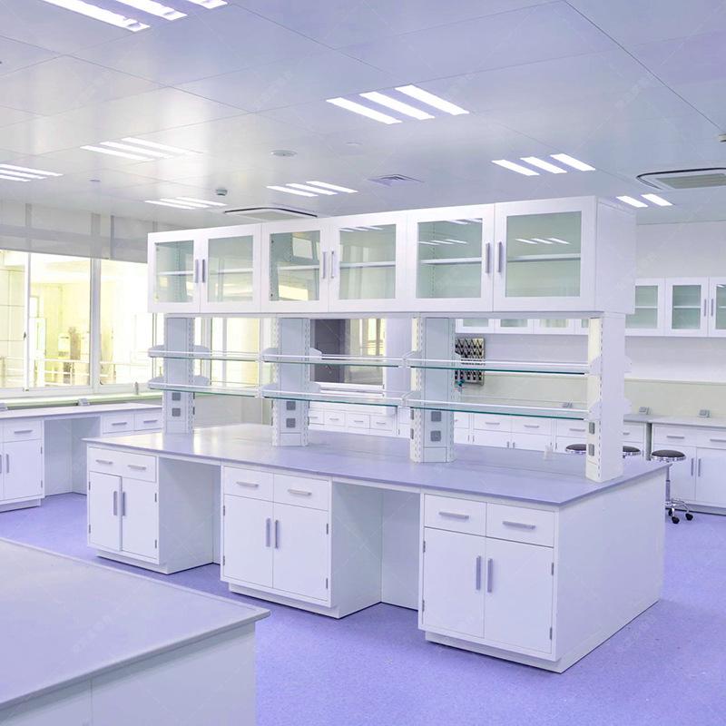 All-Steel Lab Workbench: Steel-Wood Central Side Bench, Anti-Static Operating Table for Schools and Hospitals