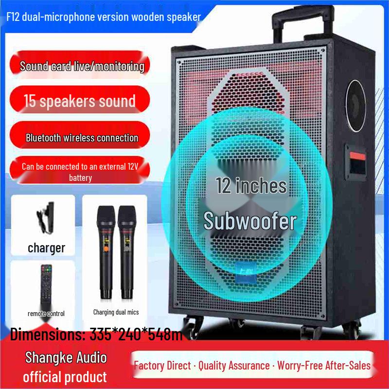 High Power Portable Bluetooth Speaker: Square Dance, Outdoor Use, Home Amplifier, and Singing Performance