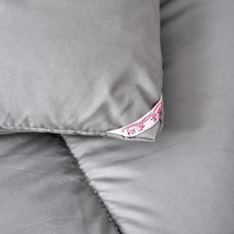 Qi Xi Ai Graphene Thickened Winter Quilt