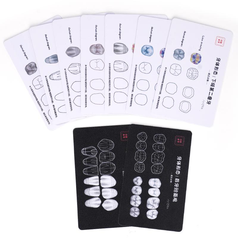 9Pcs Dental Composite Resin Filling Template Teeth Anatomical Model Board Build Up Restoration Cavity Practice