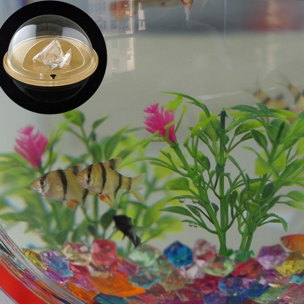Acquario Da Parete In Acrilico - Vaso Appeso Per Pesci O Piante, Decorazione Casa - Foto 14