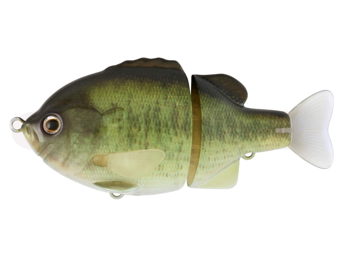 

deps Tiny Bull Shooter #08R Великоротий