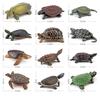Compact Size Turtle Figure Frog (Hillary Turtle)