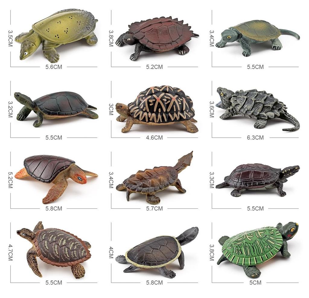 Compact Size Turtle Figure Frog (Hillary Turtle)