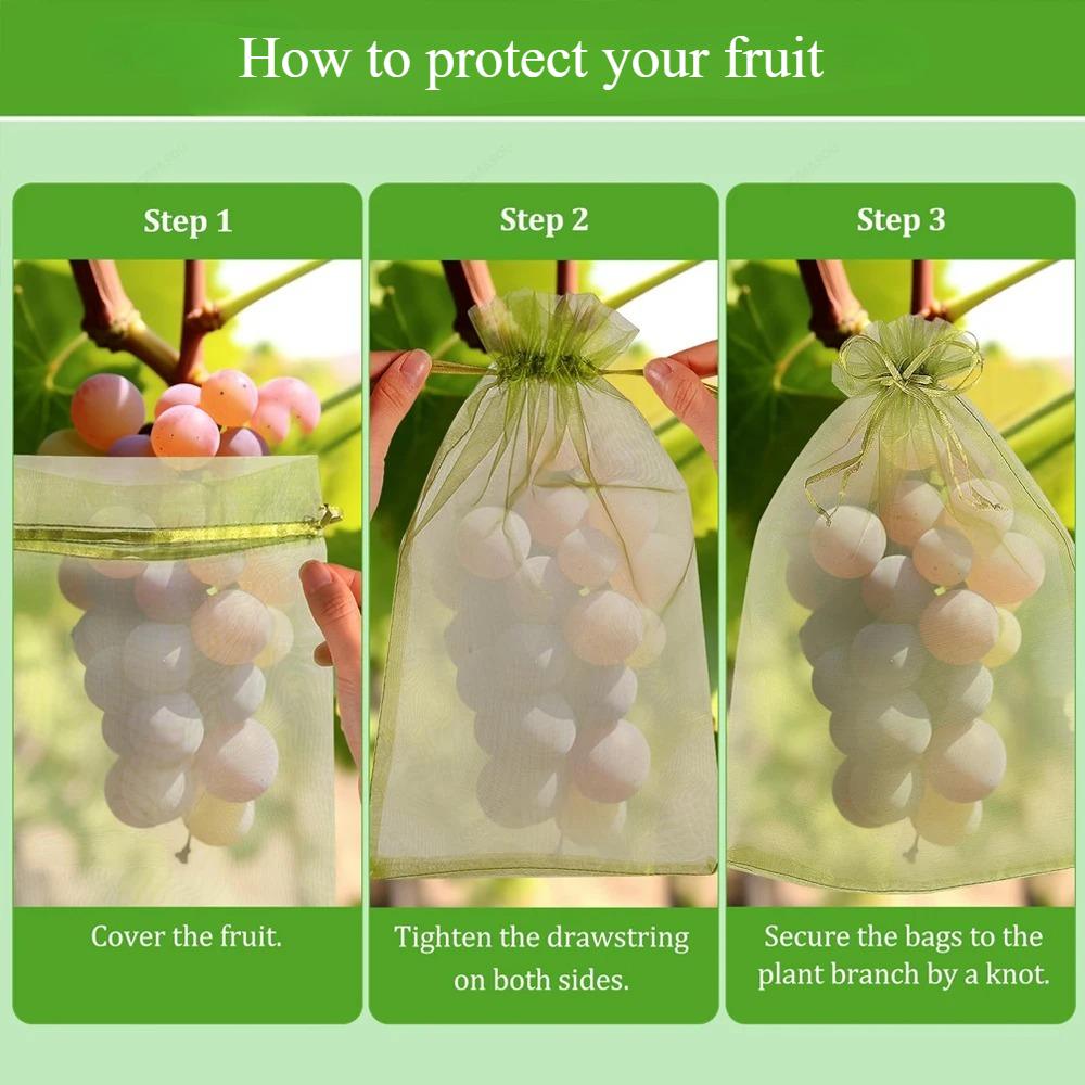 Fruit Protection Bag Plant Growth Bag Vegetable and Fruit Insect Proof Bag Strawberry and Grape Bird Proof Bags