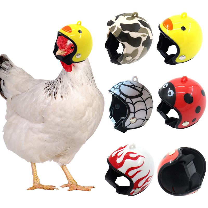 Chicken Helmet Protective Hat for Pets: Funny Headband for Chickens, Hamsters, and Small Birds