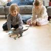 Remote Control Dinosaur Sound Photoelectric Light Induction Simulation Spray Mechanical Dinosaur Model Toy