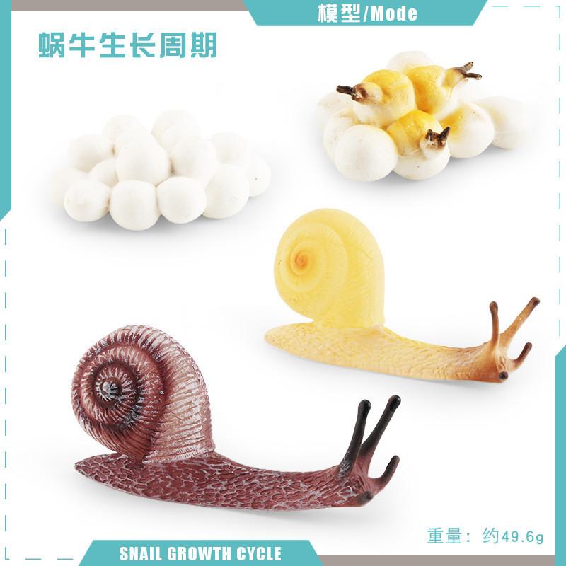 Detailed Pvc Insect And Animal Model Toys Snail Dragonfly Mosquito Grasshopper Realistic Life Cycle Stages