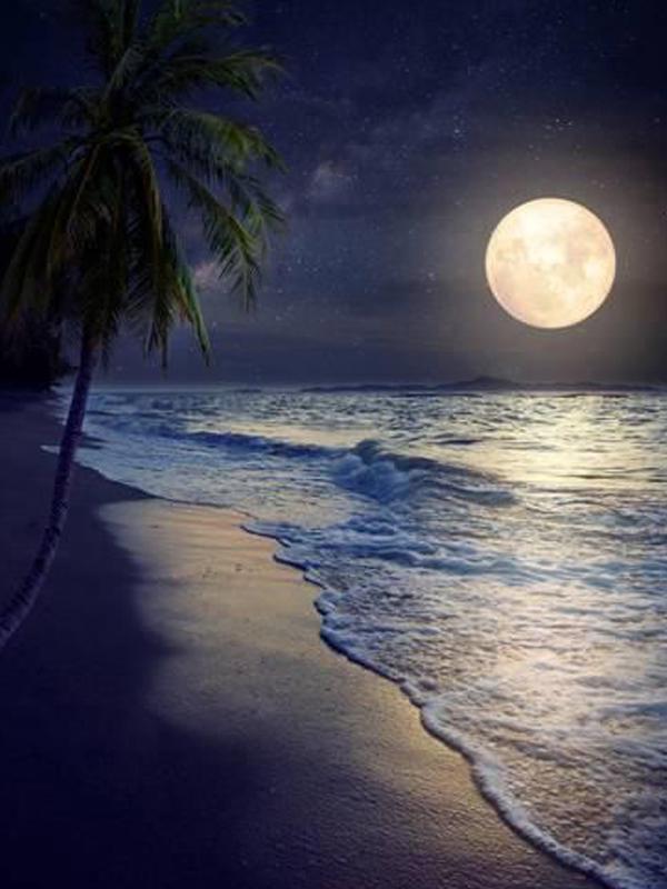 

Картина Даймонд Пейзаж Алмазная картина Набор для вышивки крестом Алмазная картина Полная дрель Новые поступления 15*20cm