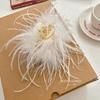 Design Ostrich Feather Grab Clip New Internet Celebrity Ins Wind Back Head Disc Hair Shark Clip Personalized Hair Accessories