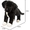 Douglas Twister Black Love Pitbull-Mischling Plüschtier