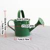 Brightly Colored Compact Watering Cans Galvanized Materials Heavy Duty Build Nonslip Grip For Terraces Plant Maintenance