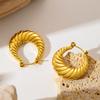Trendy Charm Gold Color Stainless Steel Twisted Texture Hoop Earrings for Woman Girl Korean Temperament Jewelry Accessory Gifts