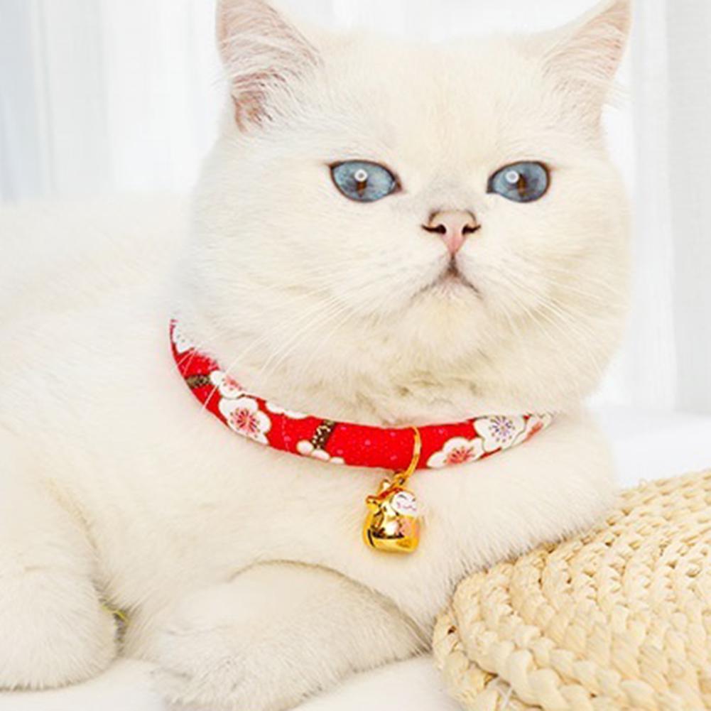 good boy training collar