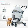 Giyim ve ayakkabı – Köpek Aksesuarları