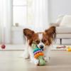 Puppy Teething Toy Interactive Bone Dog Toy Puppy Enrichment Toy for Small Dogs