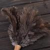 Fluffigt naturligt strutsfjäderstövare Trähandtag Hushållsrengöringsverktyg