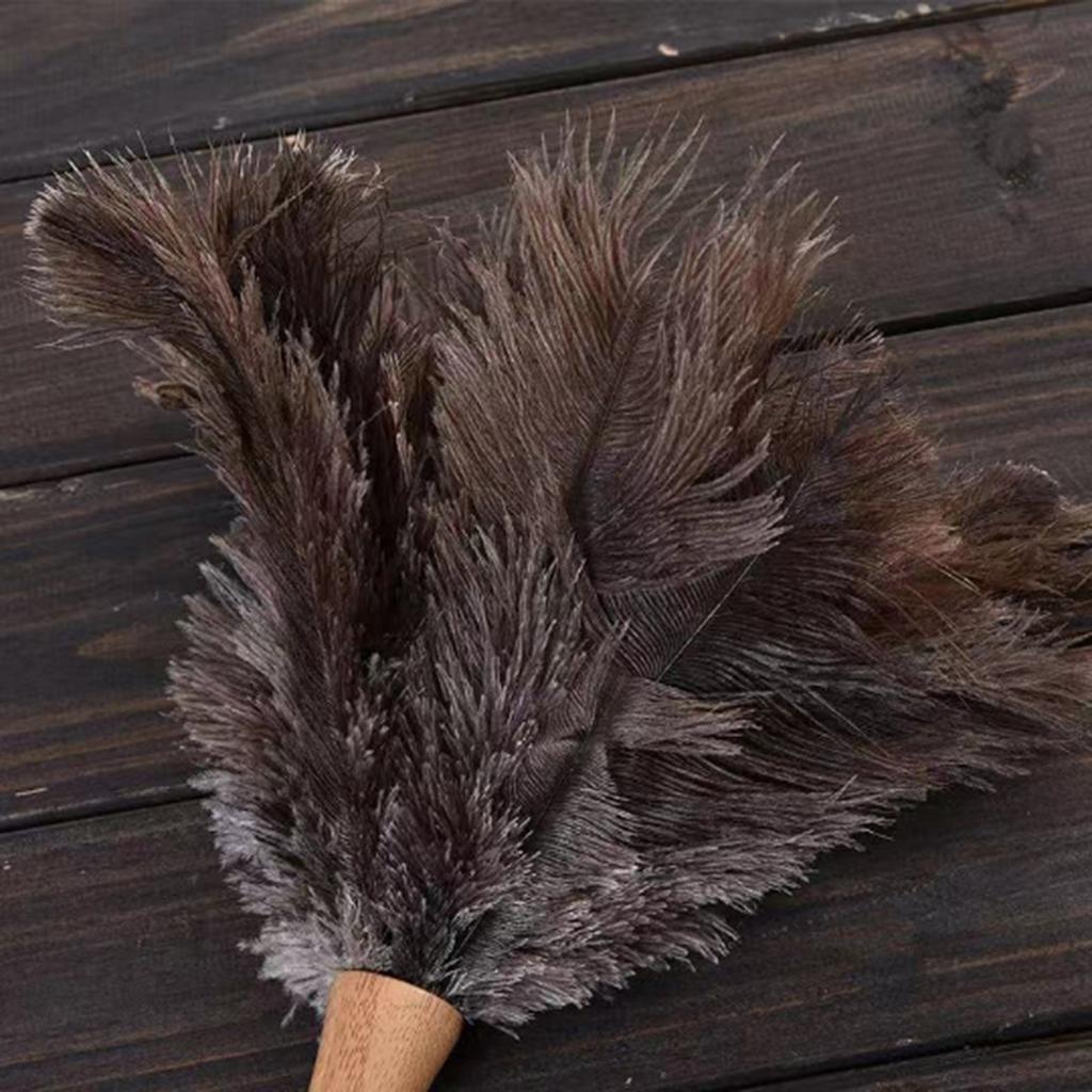 Fluffigt naturligt strutsfjäderstövare Trähandtag Hushållsrengöringsverktyg