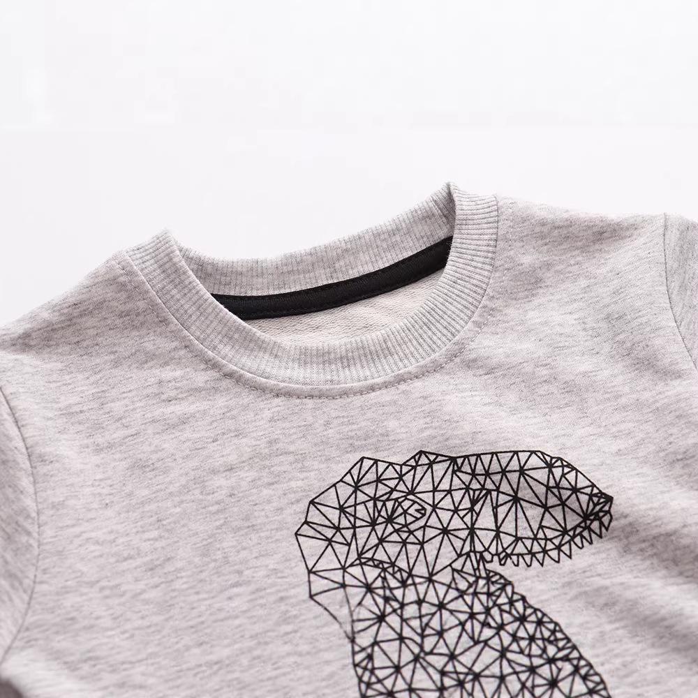 European Style Kids' Cotton Long-Sleeve Hoodie for Autumn and Winter