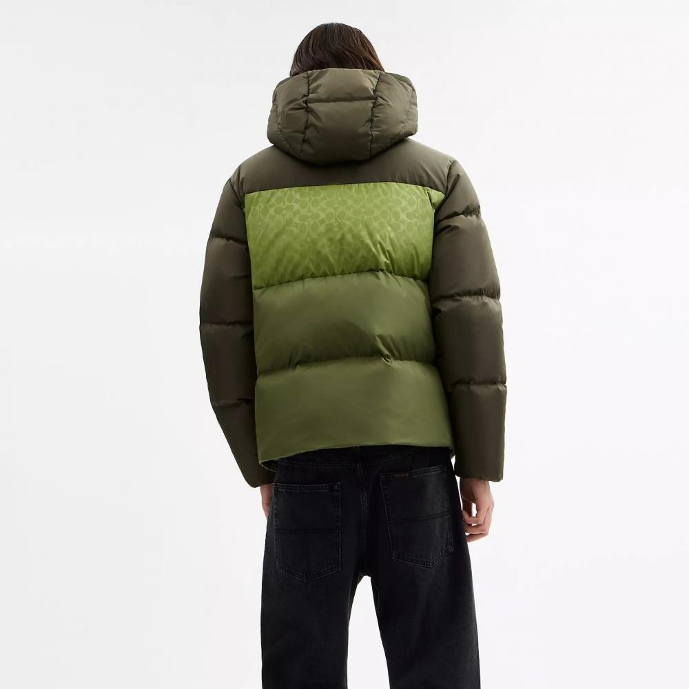 Coach Colorblock Down Jacket Green Multi