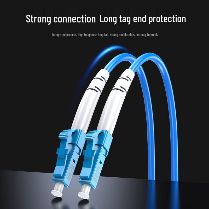 Shengwei Armored Single-Mode LC-LC Fiber Optic Patch Cord