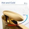 Black/Gold Bathroom Basin Faucet Brass Faucet Mixer Tap Wash Basin Faucet Single Handle Hot and Cold Faucet Deck Mounted