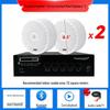 Wireless Indoor Ceiling Speaker with Wall-Mountable Hanging System