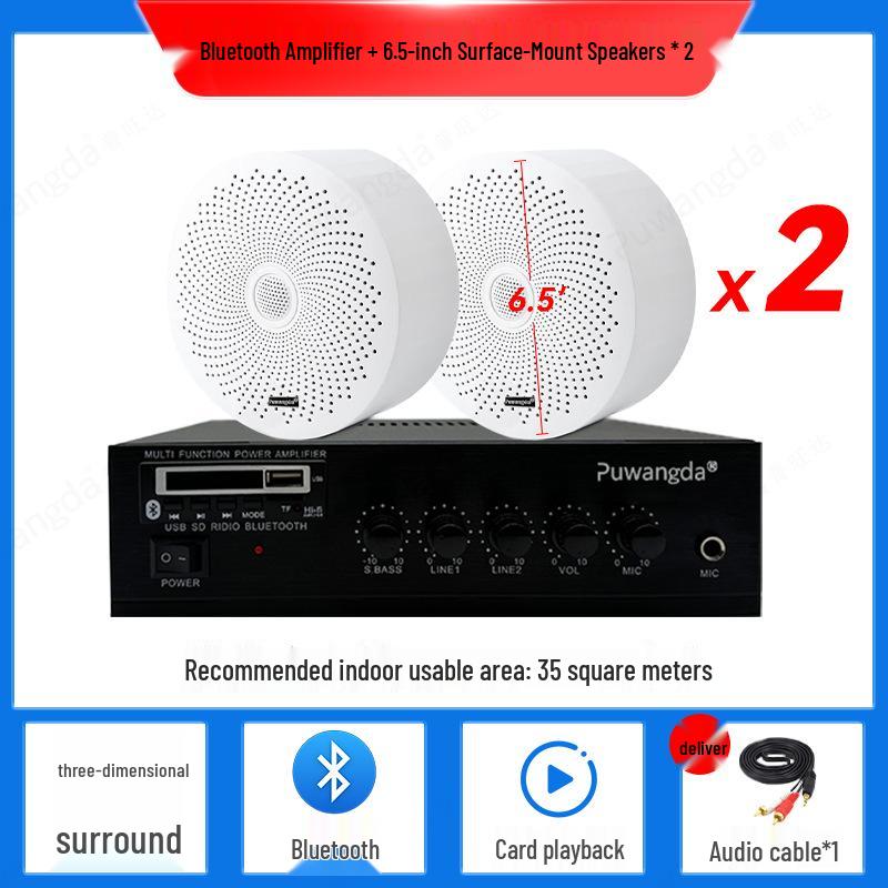 Wireless Indoor Ceiling Speaker with Wall-Mountable Hanging System