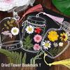 Handmade Children's DIY Set: Dried Pressed Flower Bookmarks & Transparent Stickers - Spring In a Bottle