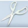 Pearl Metal Kitchen Scissors, Standard, Vegi Live, CC-1029