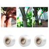 Nastro per innesti autoadesivo in PE, pellicola estensibile per piante da giardino, alberi, piantine, viti, pomodori, accessori per innesti e decorazioni per la casa.
