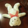 [USED] Plush polar bear bear teddy bear white Christmas