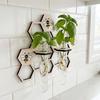 Wandplanter Terrarium met Transparante Reageerbuizen voor Plantengroei Observatie, Houten Planten Vermeerderingsstation voor Binnenstekken, Planter Decoratie