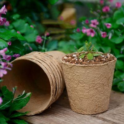 Planter Paper Grow Pot Nursery Cup Growing Pot Tray Plant Starter Flower Herb Biodegradable Eco-Friendly Garden Tools