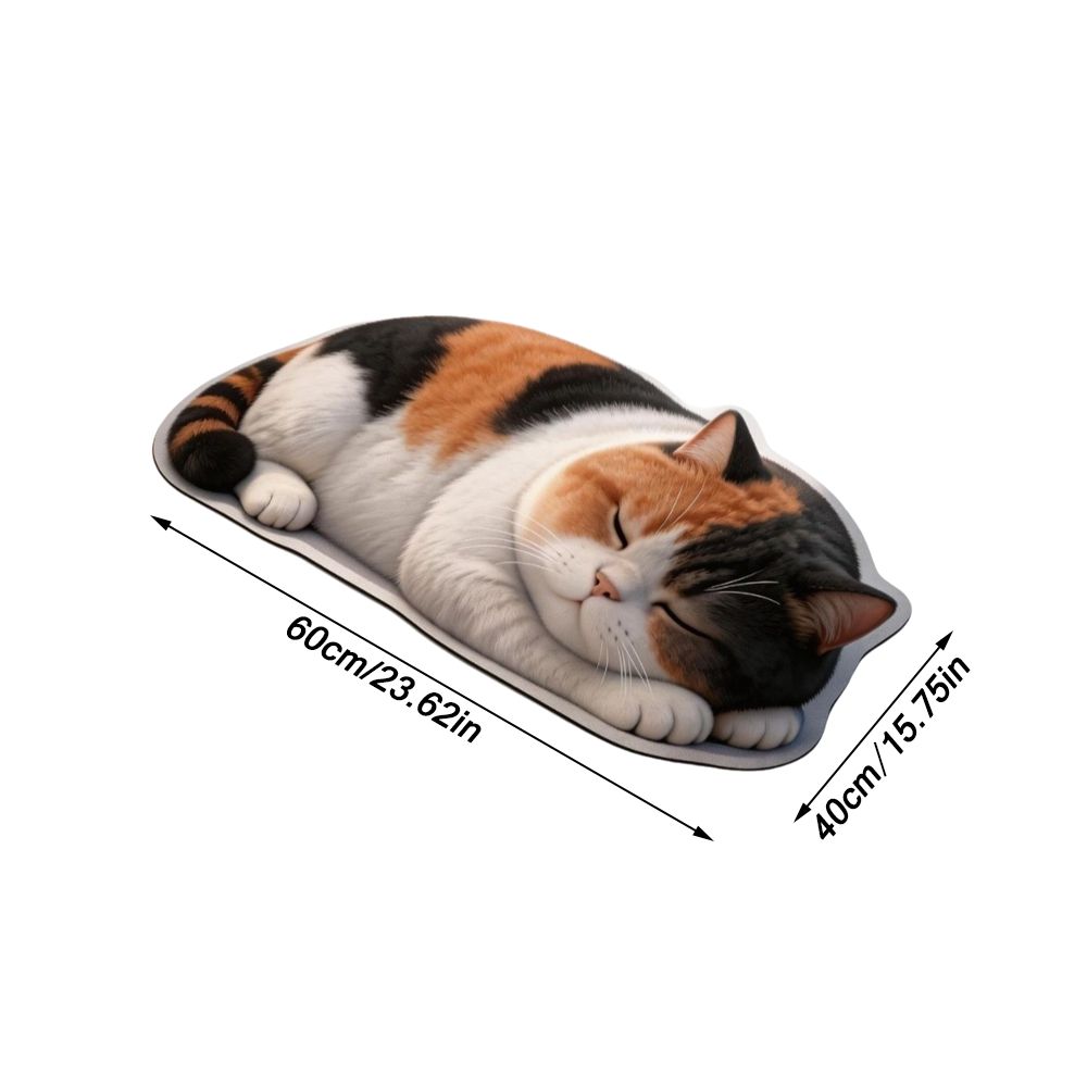 Super Absorbent Diatom Absorbent Doormat Washable Bedroom Carpet  Household Daily Decoration